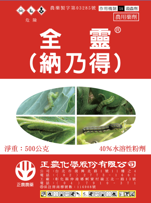 全靈